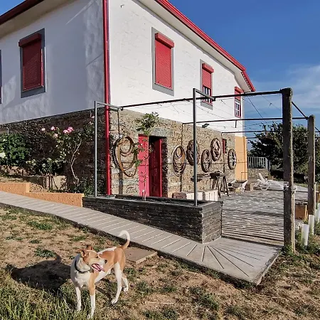 게스트하우스 Casa Da Vinha Grande