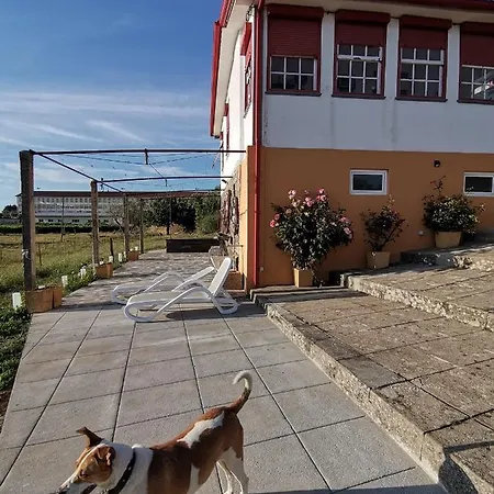 Casa Da Vinha Grande 게스트하우스
