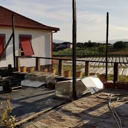 Casa Da Vinha Grande 게스트하우스 Poiares