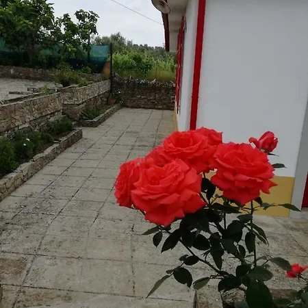 게스트하우스 Casa Da Vinha Grande Poiares