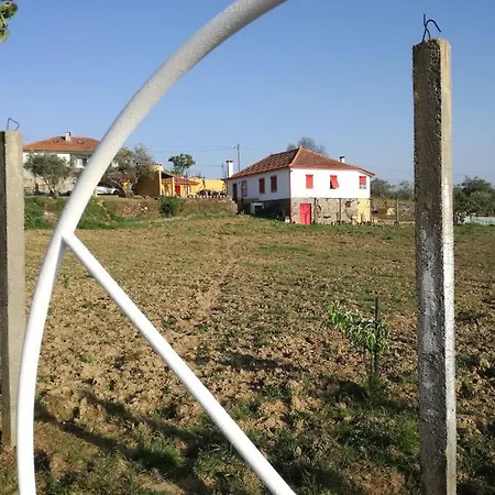 게스트하우스 Casa Da Vinha Grande Poiares
